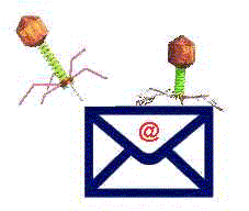 Virus